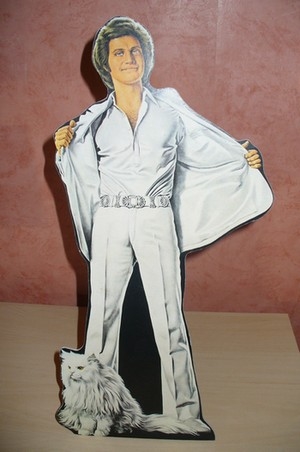 PLV (40 cm).JPG
